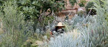 Thumbnail of Landscape Maintenance and the Fear of Death - Wonderground