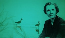 Thumbnail of The Poetry of Science and Wonder as an Antidote to Self-Destruction: Rachel Carson’s Magnificent 1952 National Book Award Acceptance Speech