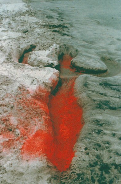 Thumbnail of Current Feature: Ana Mendieta — Musée Magazine