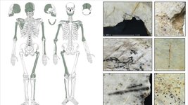 Thumbnail of 古代欧州人、敵の脳をすくって食べていた可能性 考古学調査で痕跡 ...