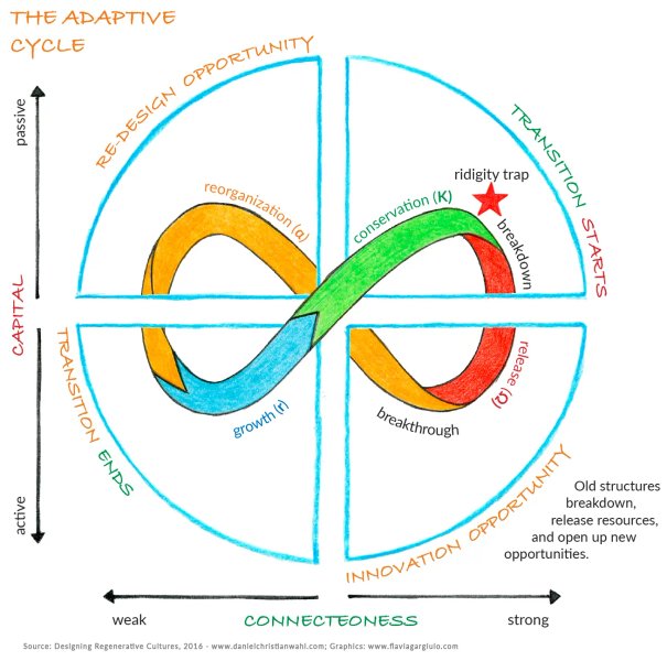 Thumbnail of The adaptive cycle as a dynamic map for resilience thinking