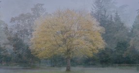 Thumbnail of A Circling Story – Holly Haworth