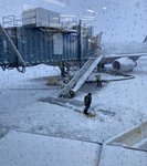 Thumbnail of Fasten Seat Belt While Seated