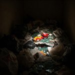 Thumbnail of The Psychology of Waste: Why We Throw Things Away