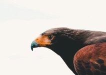 Thumbnail of You Become What You Focus On