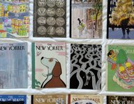 Thumbnail of longform articles & essays 101