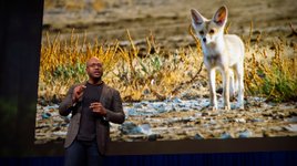 Thumbnail of As humans drastically change the planet, animals are rapidly ...