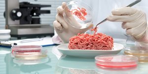 Thumbnail of Banning lab-grown meat is stupid