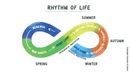 Thumbnail of Regenerative Leadership – what we need in times of great winds
