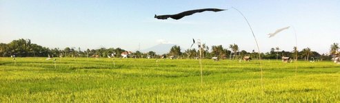 Thumbnail of Bali is not an over-touristed hellhole