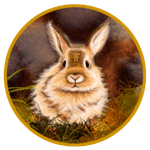 Thumbnail of Rabbit - Gene Keys