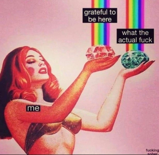 Thumbnail of Pin by Angie Vee on Art pics | Memes, Funny quotes, Funny memes
