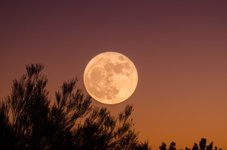 Thumbnail of Astrological Meanings for the Capricorn Full Moon Meditations | Meditation Mount