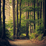 Thumbnail of Trail Magic