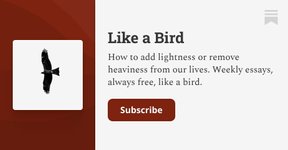 Thumbnail of About - Like a Bird