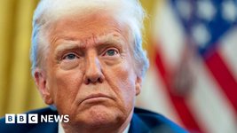 Thumbnail of Donald Trump imposes tariffs but Canada and Mexico hit back