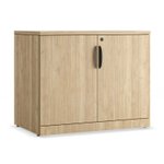 Thumbnail of Locking Storage Cabinet