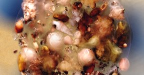 Thumbnail of Even A Grain Of Sand Deserves Justice | NOEMA