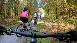 Thumbnail of Biking helps prevent knee pain and boosts longevity, studies show ...