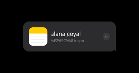 Thumbnail of alana goyal | notes