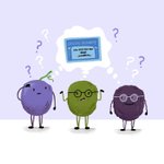 Thumbnail of Here's the best age to take Social Security, based on the one variable that really matters — USA TODAY