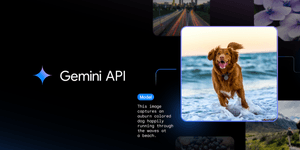 Thumbnail of 7 examples of Gemini’s multimodal capabilities in action