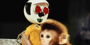 Thumbnail of Copium of The Masses