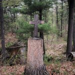 Thumbnail of Virginal Lands and Bodies: Colonial Domination of Nature and Purity
