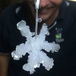 Thumbnail of 20 End of year science activities