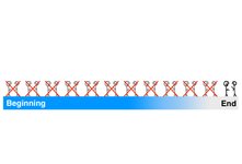 Thumbnail of The Tail End - Wait But Why