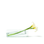 Thumbnail of Basic.Space - Leaning Vase by Willo Perron for We Are Ona