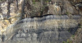 Thumbnail of Geology of the 'Big Scrub Rainforest' (Part 2)