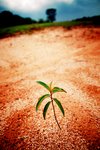 Thumbnail of Poetry Chaikhana | John O'Donohue - For a New Beginning