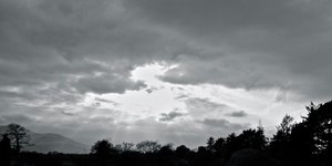 Thumbnail of Courage