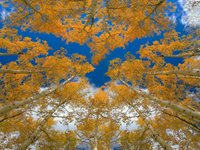 Thumbnail of May We All Be Happy-Beginning Metta