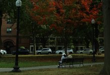Thumbnail of the practice of living, not just existing