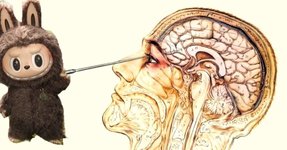 Thumbnail of Labubu Lobotomy