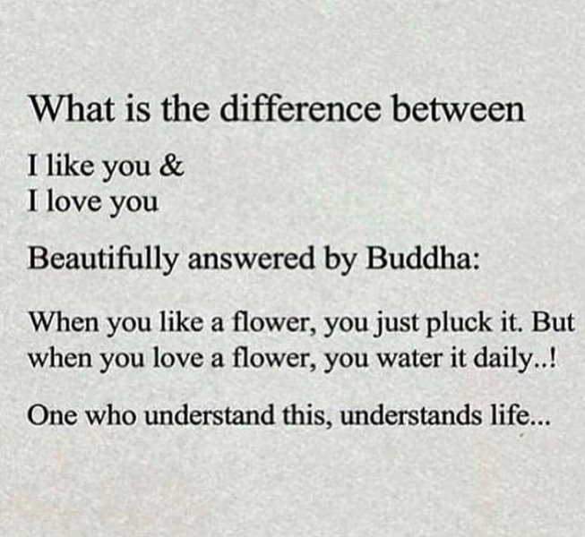 Preview of 6020-jpeg