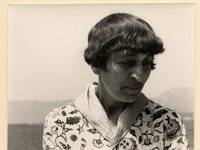 Thumbnail of Looking for Alice