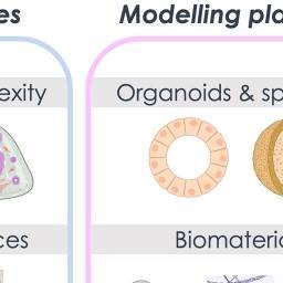Thumbnail of PubMed Central Image Viewer.