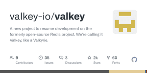 Thumbnail of GitHub - valkey-io/valkey: A new project to resume development on the formerly open-source Redis project. We're calling it Valkey, like a Valkyrie.