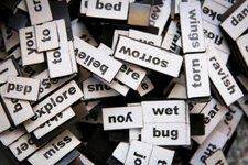 Thumbnail of The Power of Words: How They Shape Our Lives and Transform Us