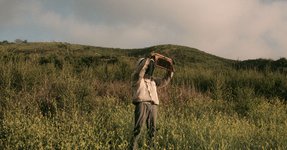 Thumbnail of Telling the Bees – Emily Polk