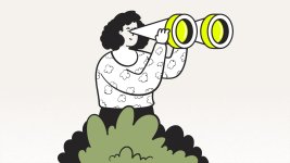 Thumbnail of Seeing Software — what works