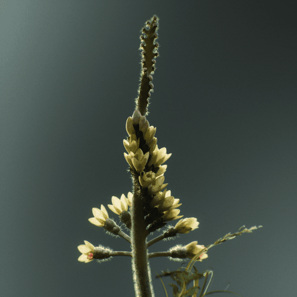 Thumbnail of Technology and Nature Merge in Zachary Corzine's Otherworldly 'Faux Flora'
