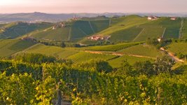 Thumbnail of 9 Benchmark Nebbiolos: 2019 Barbaresco Scores and Tasting Notes