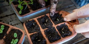 Thumbnail of How A Gardening Ceramicist Organizes Their Days