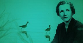 Thumbnail of Pioneering Biologist and Writer Rachel Carson on Wonder, Parenting, and Why It Is More Important to Feel Than to Know