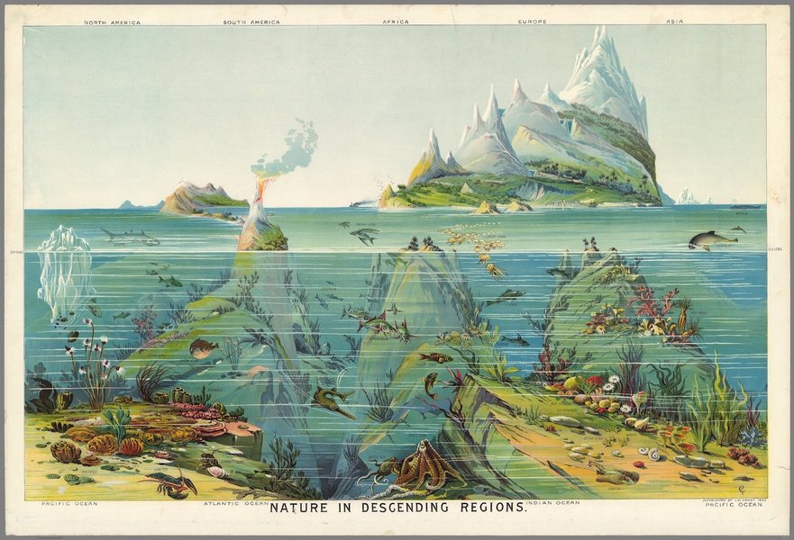 Thumbnail of Found on Cosmos