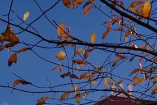 Thumbnail of At This College, the English Dept. Is Out. ‘Human Narratives’ Is In.